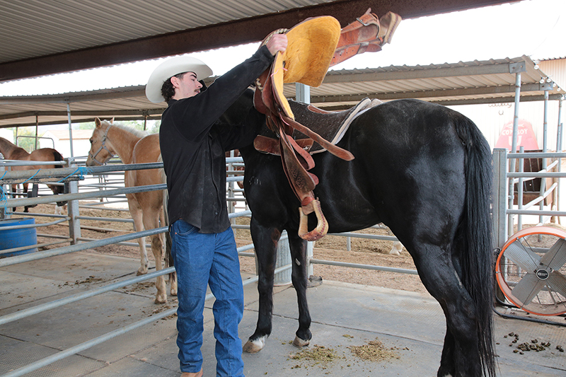Arizona Cowboy College : Arizona : Richard Moore : Photographer